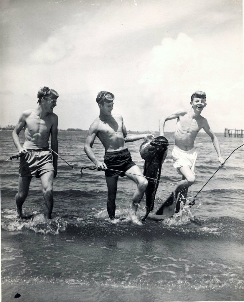 Click to See Next Image